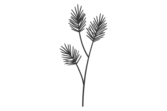 Evergreen Tree Branch Icon. Pine Decorat Graphics